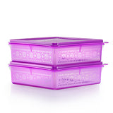 Mosaic Snack Stor (2) 2.9L | Tupperware Singapore