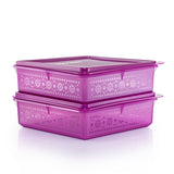 Mosaic Snack Stor (2) 2.9L | Tupperware Singapore