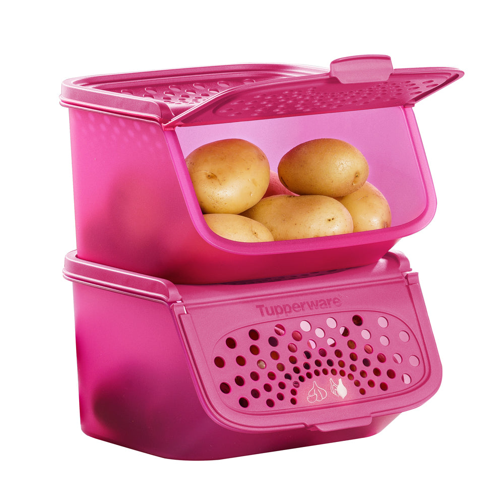 Garlic N All Keeper (2) 2.3L - Pink | Tupperware Singapore