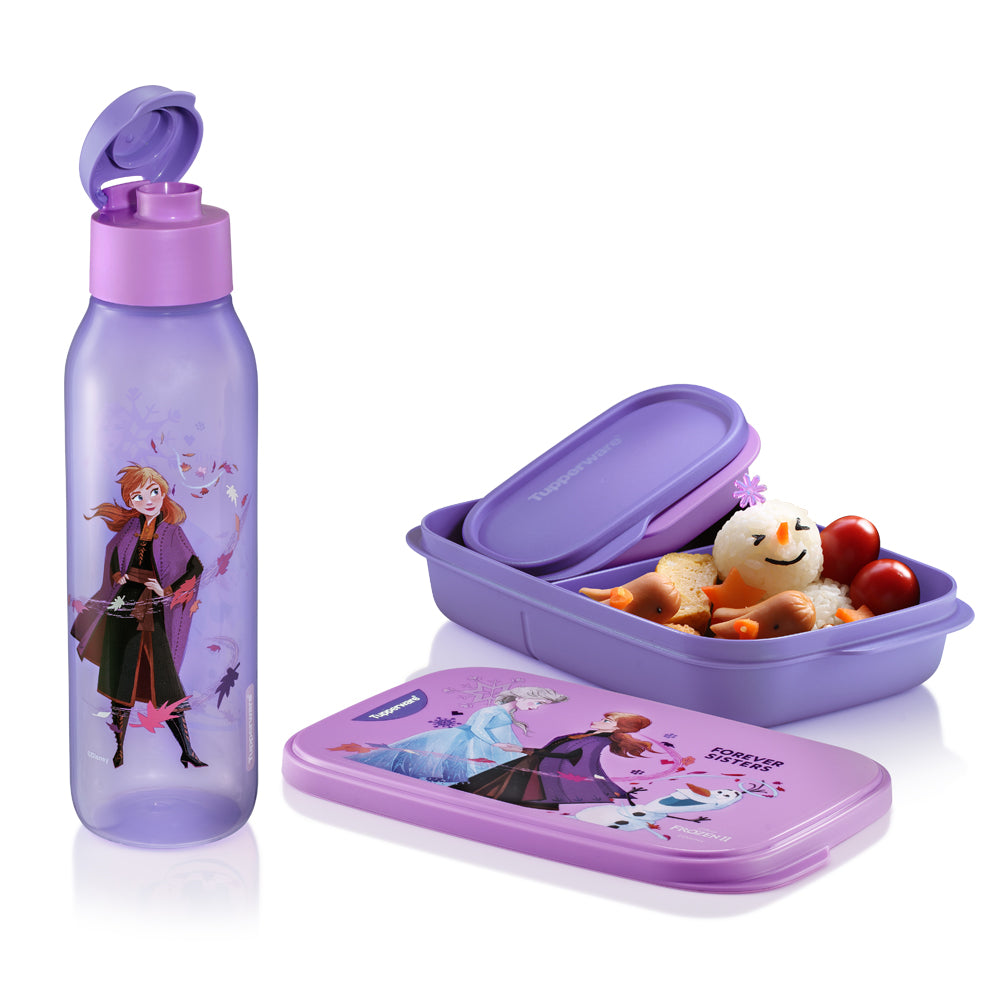 Disney Frozen Collectable Set