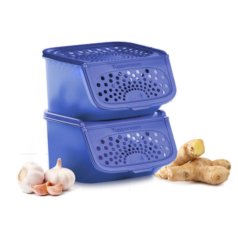 Garlic N All Keeper (2) 2.3L | Tupperware Singapore