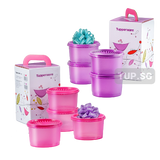 Mini Deco Canister Gift Set (8) 600ml | Tupperware Singapore