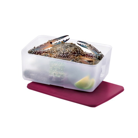 Tupperware Singapore | FreezerMate Large III (1) 5.6L
