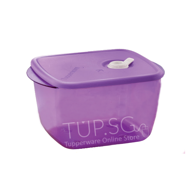 Rock N Serve Medium Deep 1.5L | Tupperware Singapore