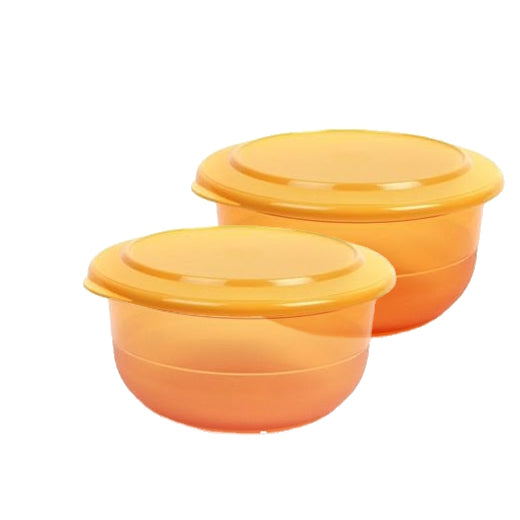 TC Serving Bowl Small (2) 1.1L (Orange) | Tupperware Singapore